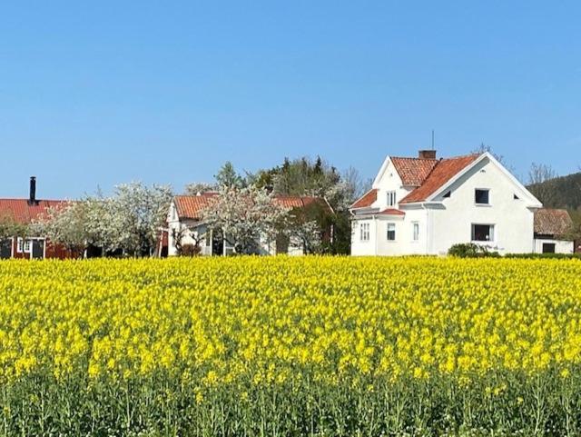 Ferienwohnung Boende I Uppgraenna Med Panoramautsikt Exterior foto